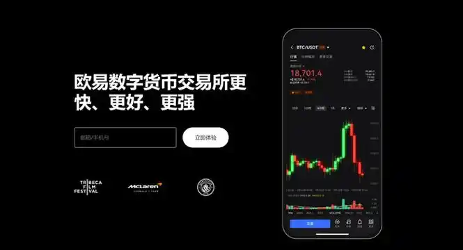 ddpay钱包安卓版下载页面展示